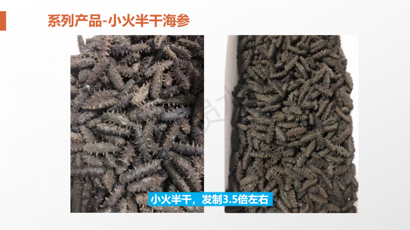 微信图片_2020060415453830