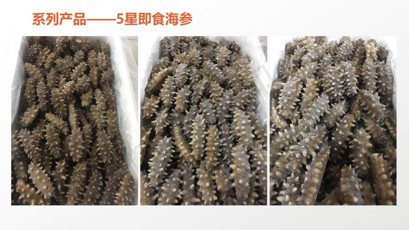 微信图片_2020060415453832