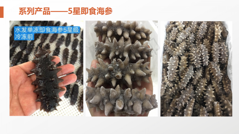 微信图片_2020060415453831