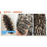 8星级水发单冻即食海参