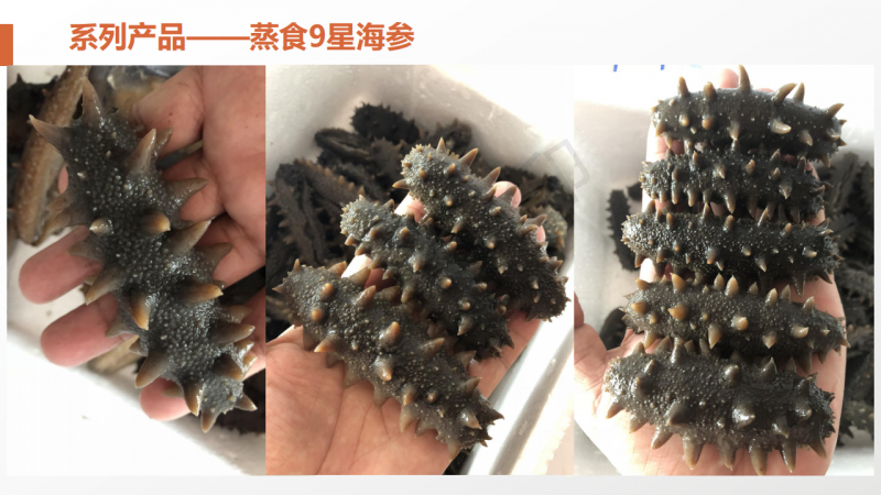 微信图片_2020060415453838