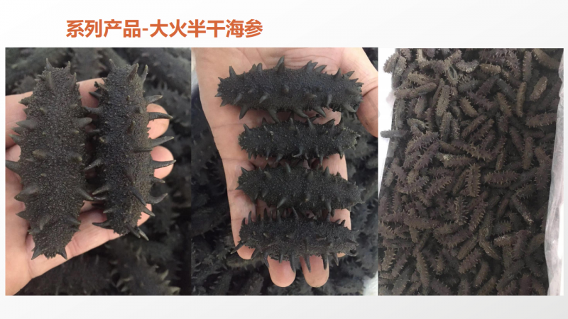 微信图片_2020060415453842