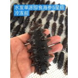 5星即食海参