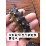 10星即食海参