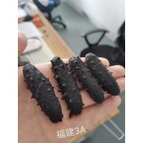 福建3A淡干海参