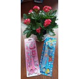 铅笔系列720套装