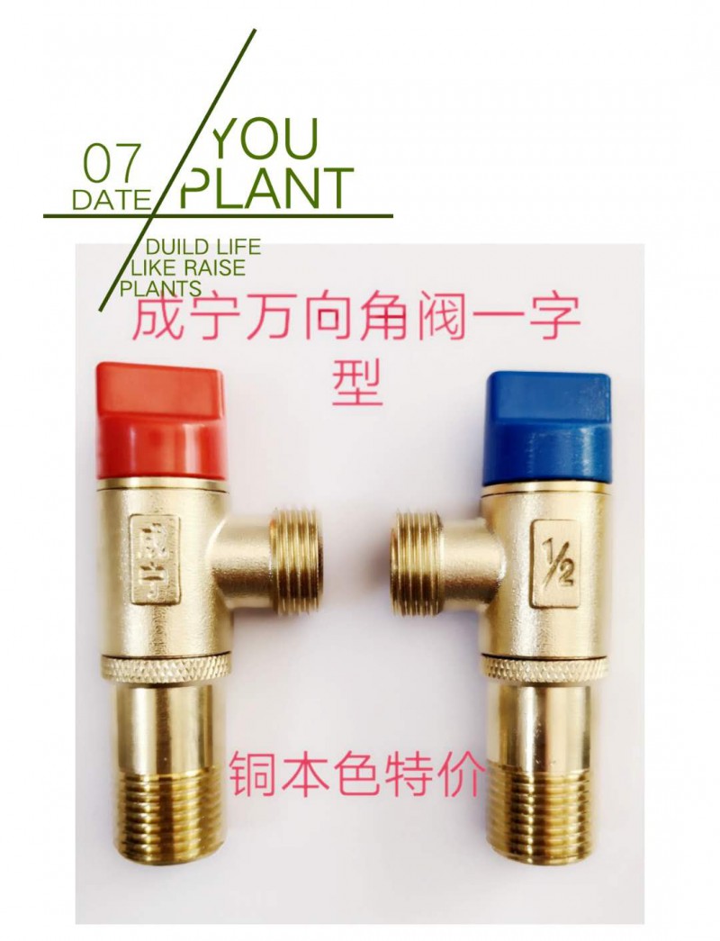 微信图片_20200806171005