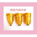 铜排气阀中