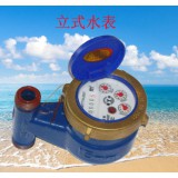 立式水表