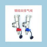 铜组合排气阀