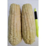 白粘玉米棒