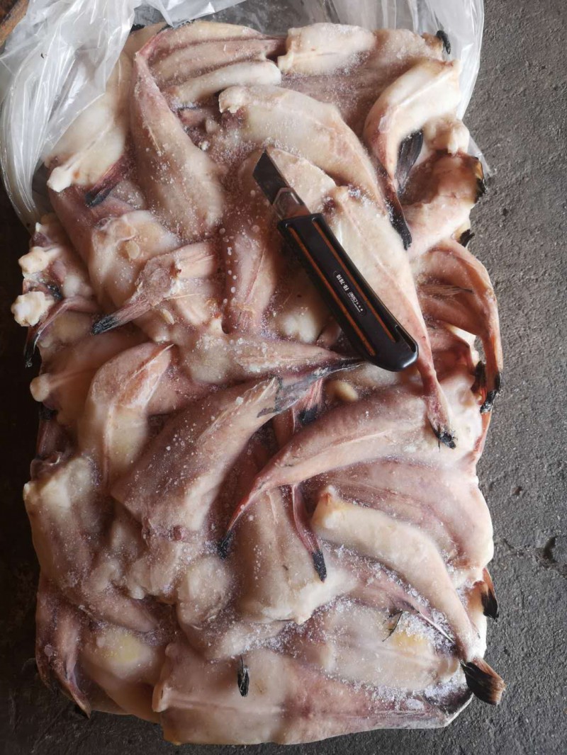 微信图片_202009091006391