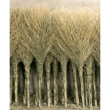 大竹子扫把帚家用扫水工厂车间专用硬毛马路环卫户室外学校庭院子