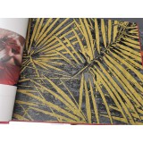 美安居3号人鱼海岸