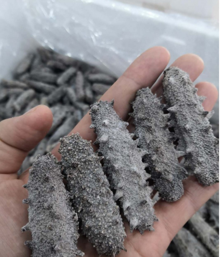 QQ截图20201013204051