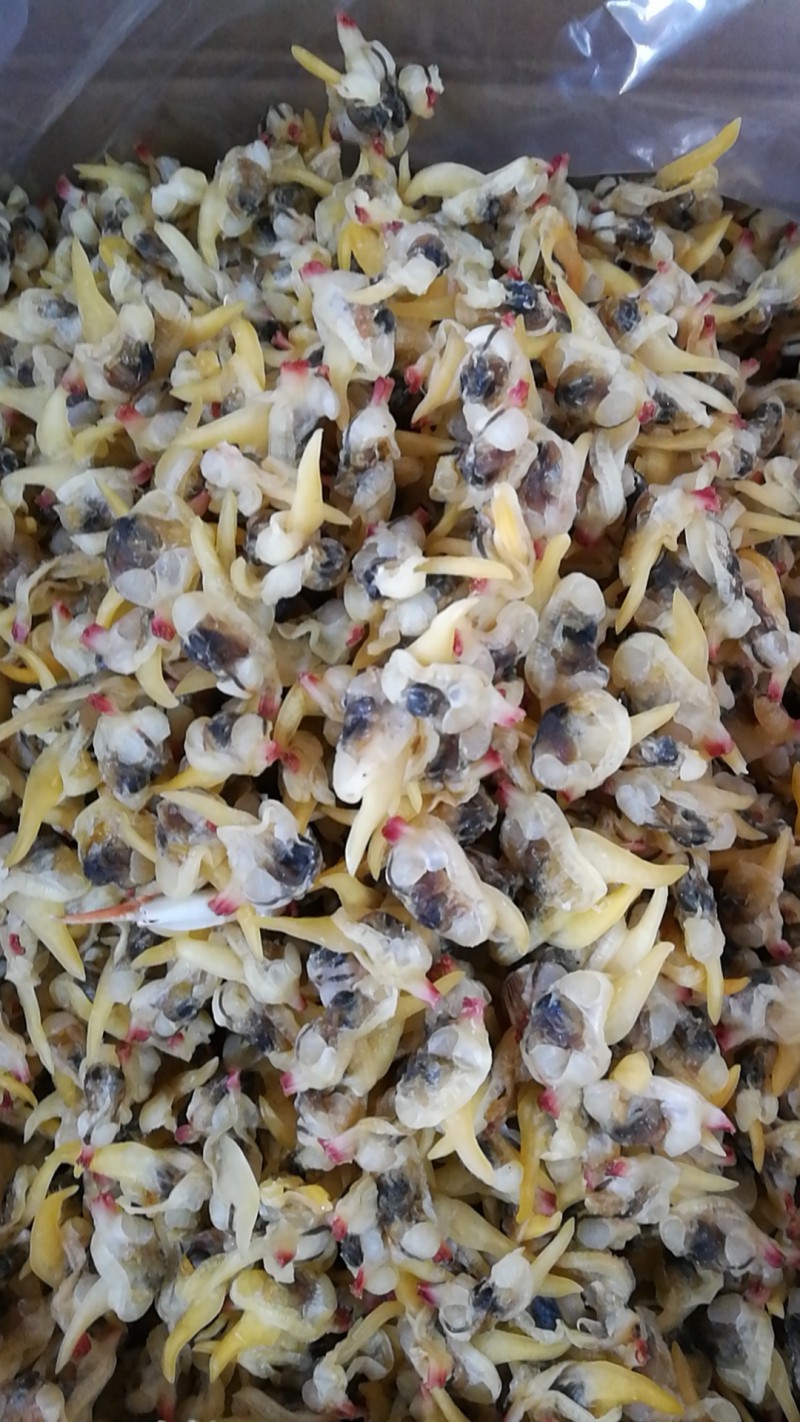 微信图片_20201016094521