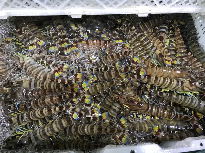 微信图片_20201018100055