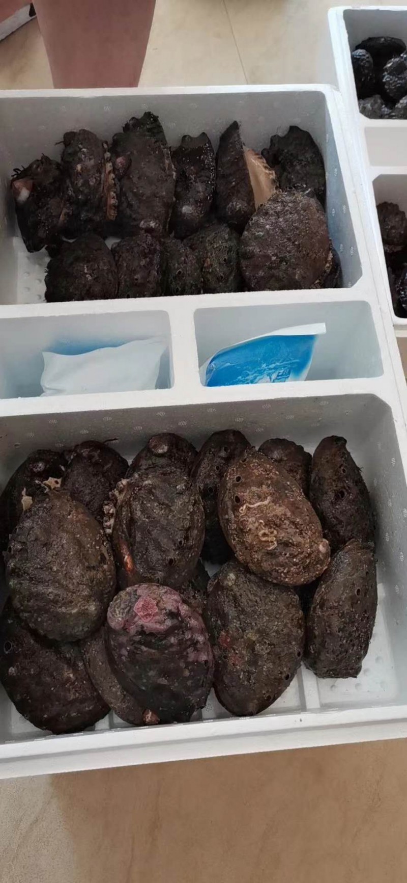 微信图片_202010222243141