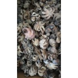 八爪鱼荸荠肉蛏子干