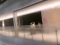 雄星门业