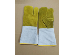 财富电话：18605398095