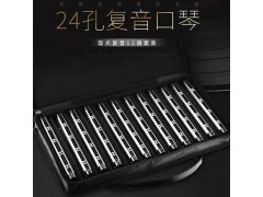 国光12调24孔复音口琴套装，老品牌，好音色。
