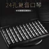 国光12调24孔复音口琴套装，老品牌，好音色。