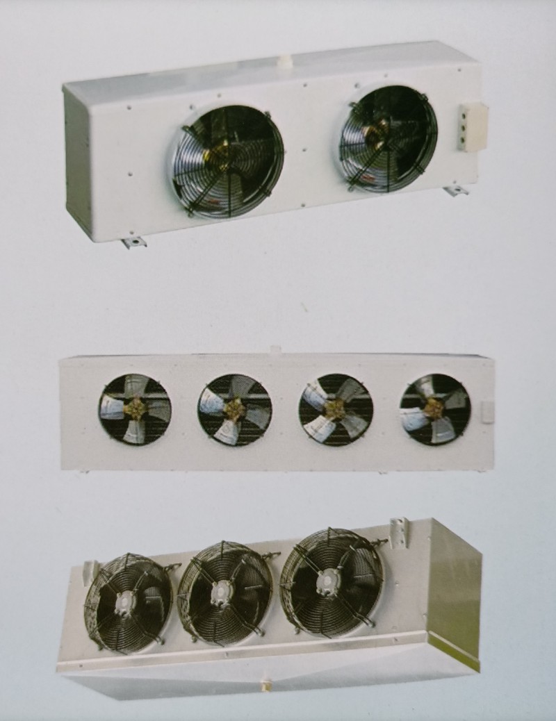 IMG_20210822_083719_mh1629607236944