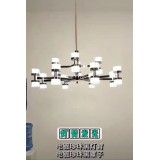 馨美极光  869/8+4头   6头 跑量款