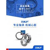 SKF轴承