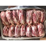 腱子肉系列