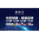 索菲亚普鑫智能锁系列