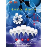 浙驰LED钻石球泡