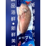 野生红石斑鱼