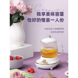 澳柯龙新款电炖杯养生杯