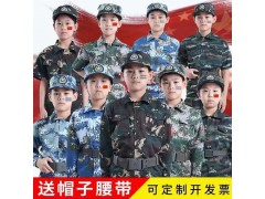 军训和夏令营系列