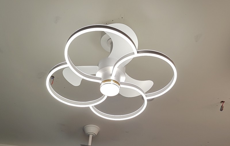 wx_camera_1772506999837_1772507063779edit